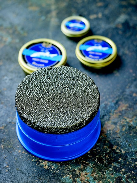 Caviar-Beluga-OT-open_WEBT5YFeHIQZutVy